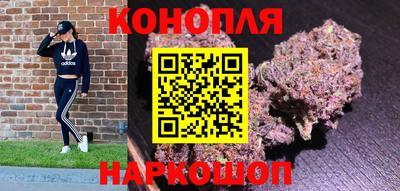 гидра Краснокаменск