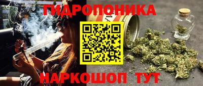 гидра Краснокаменск