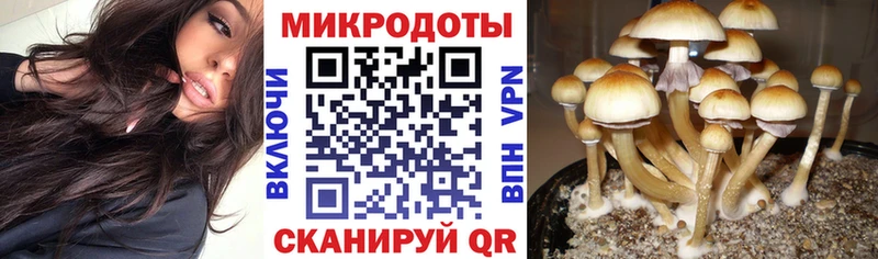 сайты даркнета наркотические препараты  где найти наркотики  Йошкар-Ола  Галлюциногенные грибы мухоморы 