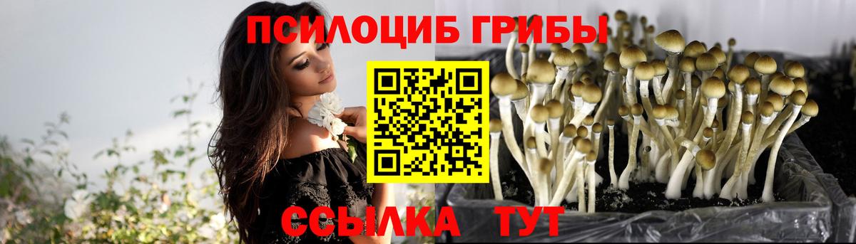 Галлюциногенные грибы ЛСД  Вход с VPN  Йошкар-Ола 